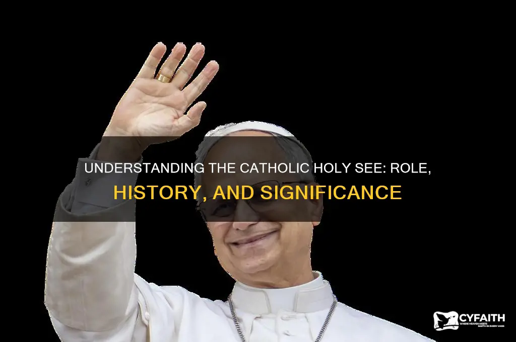 what is a catholic holy see