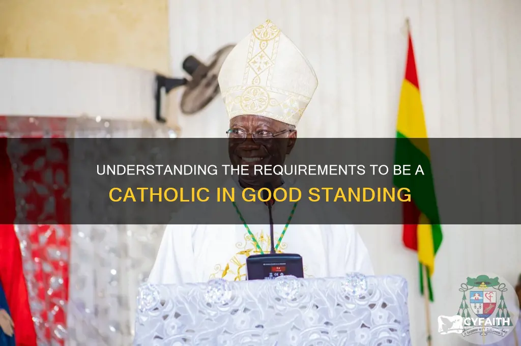 what is a catholic in good standing