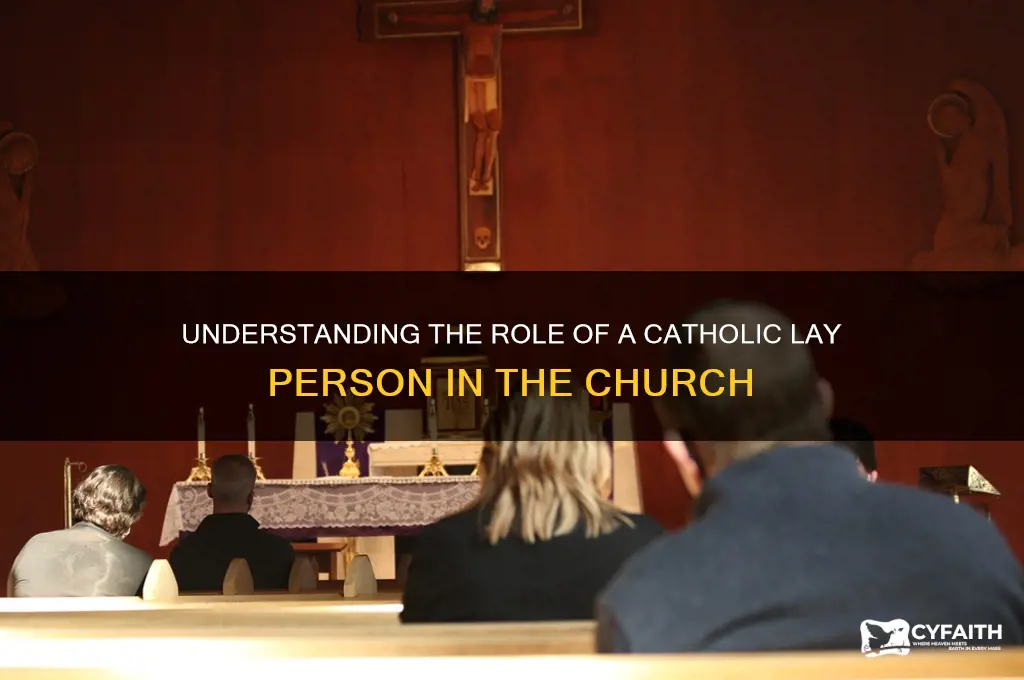 what is a catholic lay person