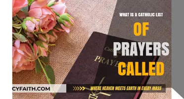 Catholic Prayer Collections: What Are They Called?