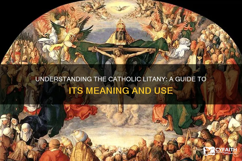 what is a catholic litany