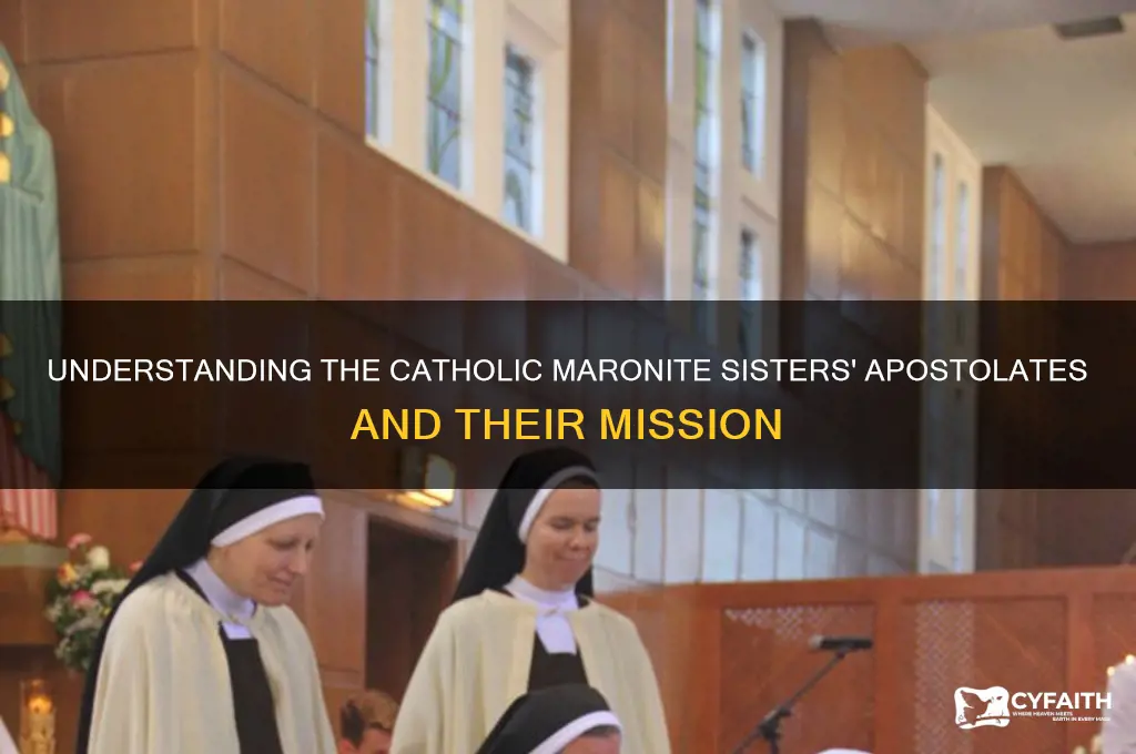 what is a catholic maronite sister