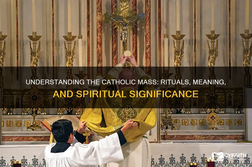 what is a catholic mas