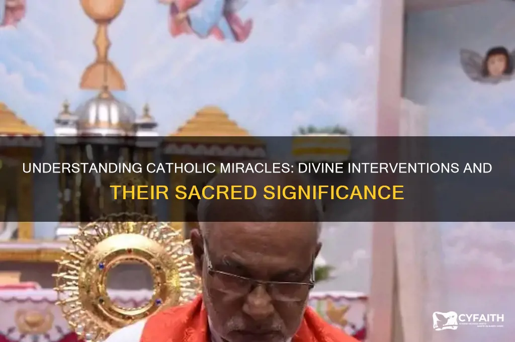 what is a catholic miracle