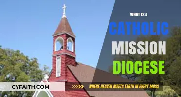 Understanding the Role and Purpose of a Catholic Mission Diocese