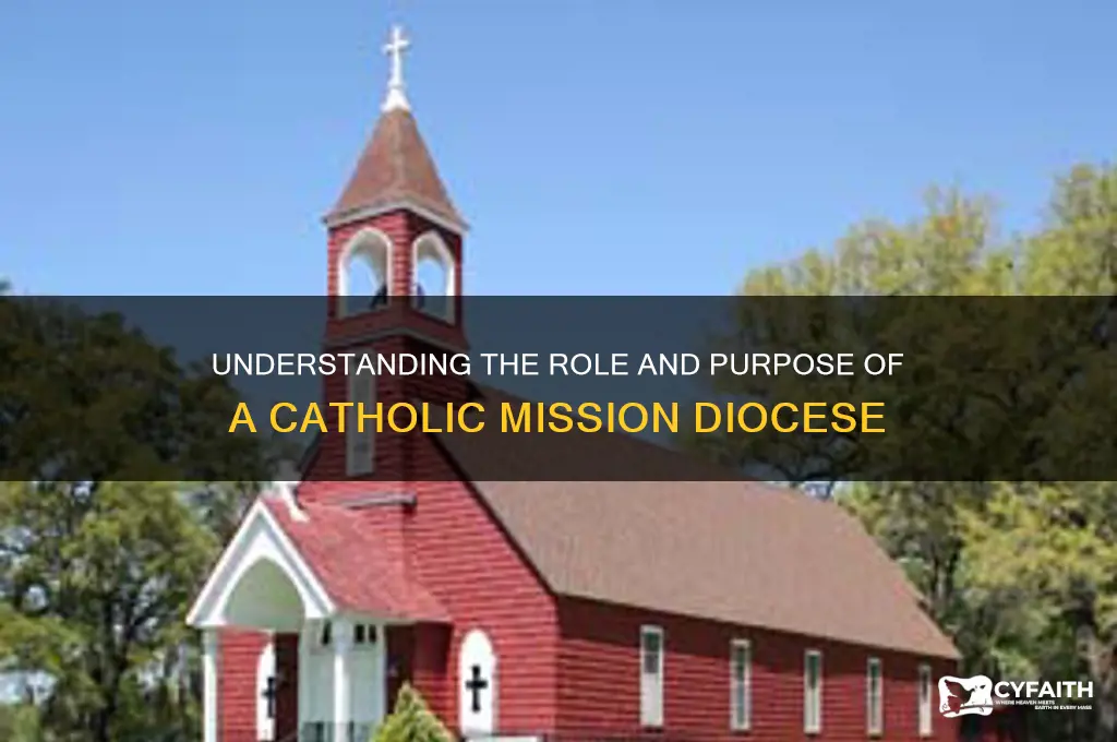 what is a catholic mission diocese