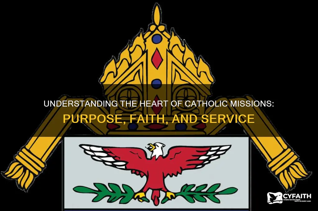what is a catholic mission