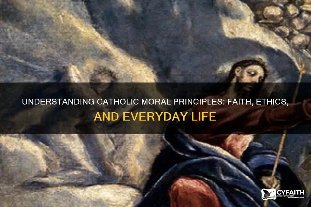 what is a catholic moral principle