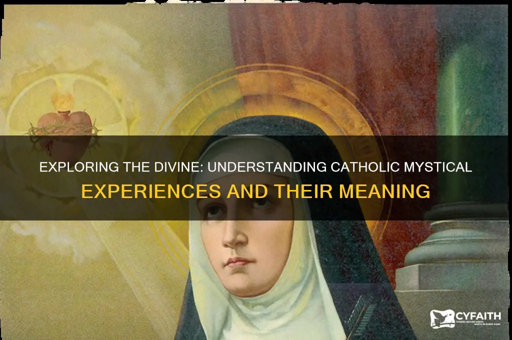 what is a catholic mystical experience
