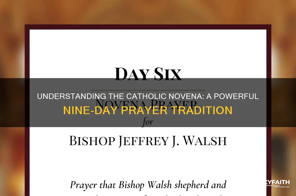 what is a catholic novena
