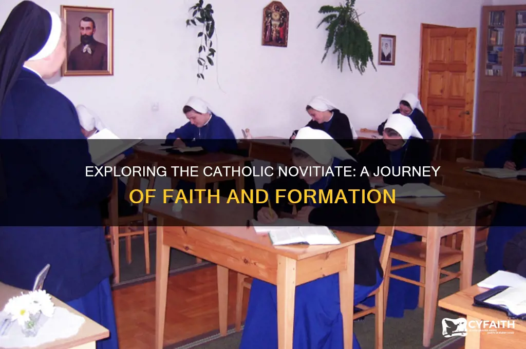 what is a catholic novitiate