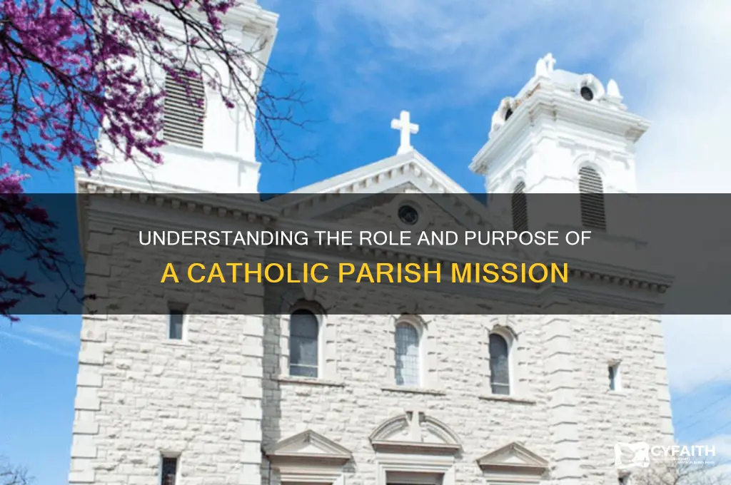 what is a catholic parish mission