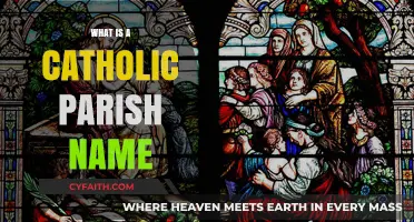 Understanding Catholic Parish Names: Origins, Meanings, and Significance Explained