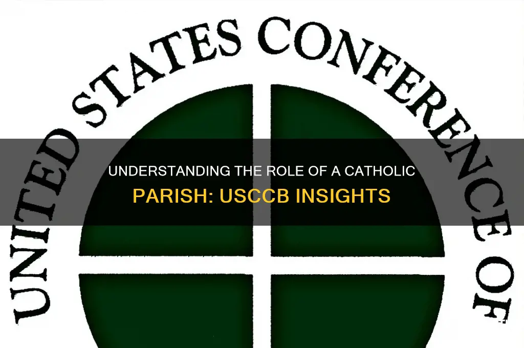 what is a catholic parish usccb