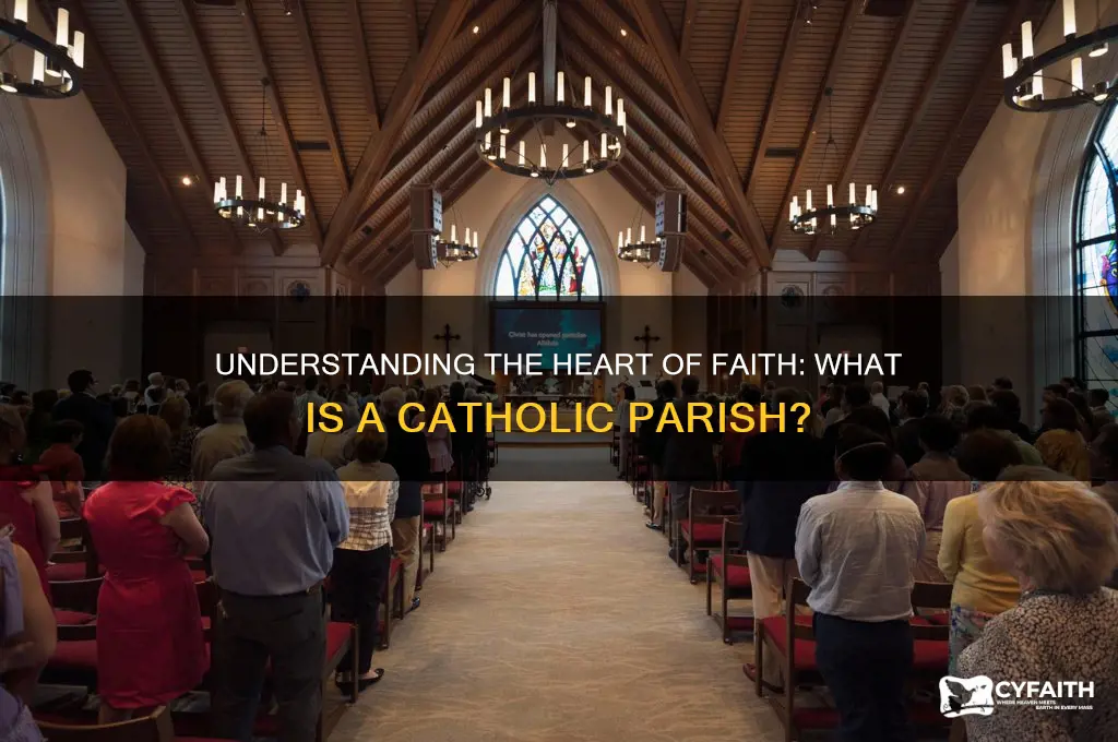 what is a catholic parish