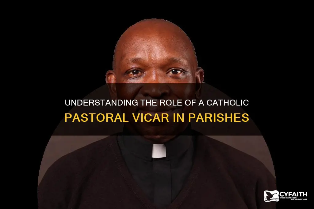what is a catholic pastoral vicar