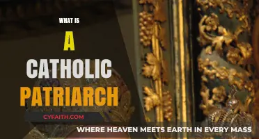 Understanding the Role and Significance of a Catholic Patriarch