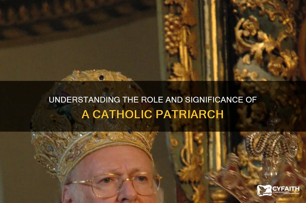 what is a catholic patriarch