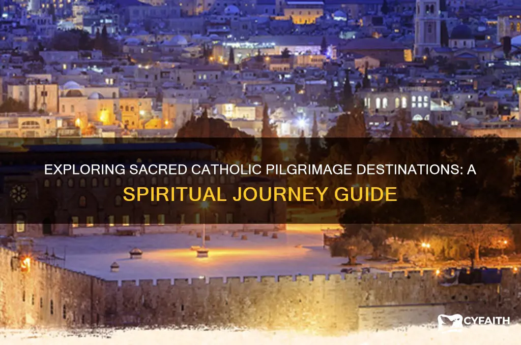 what is a catholic pilgrimage destination
