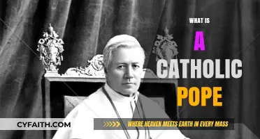 Understanding the Role and Significance of a Catholic Pope