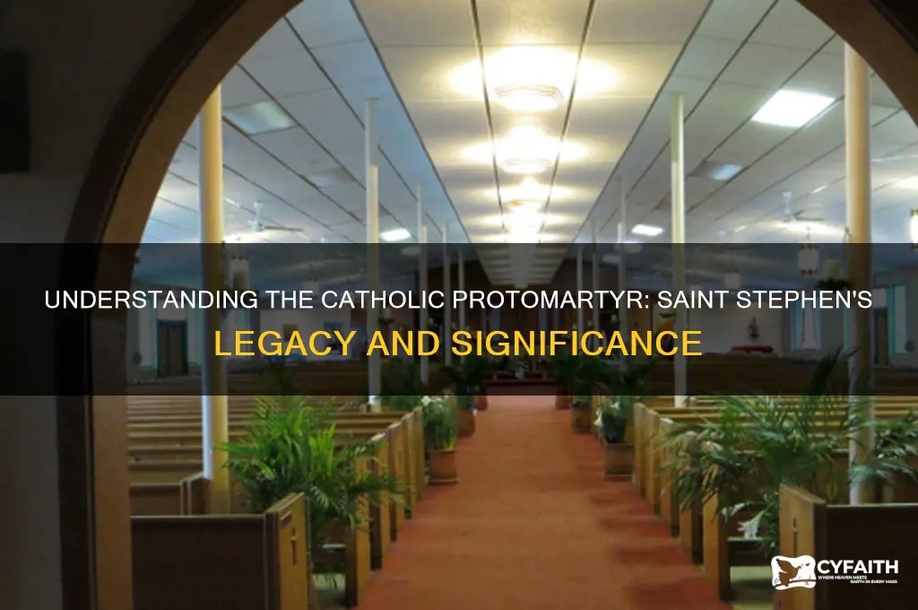 what is a catholic protomartyr
