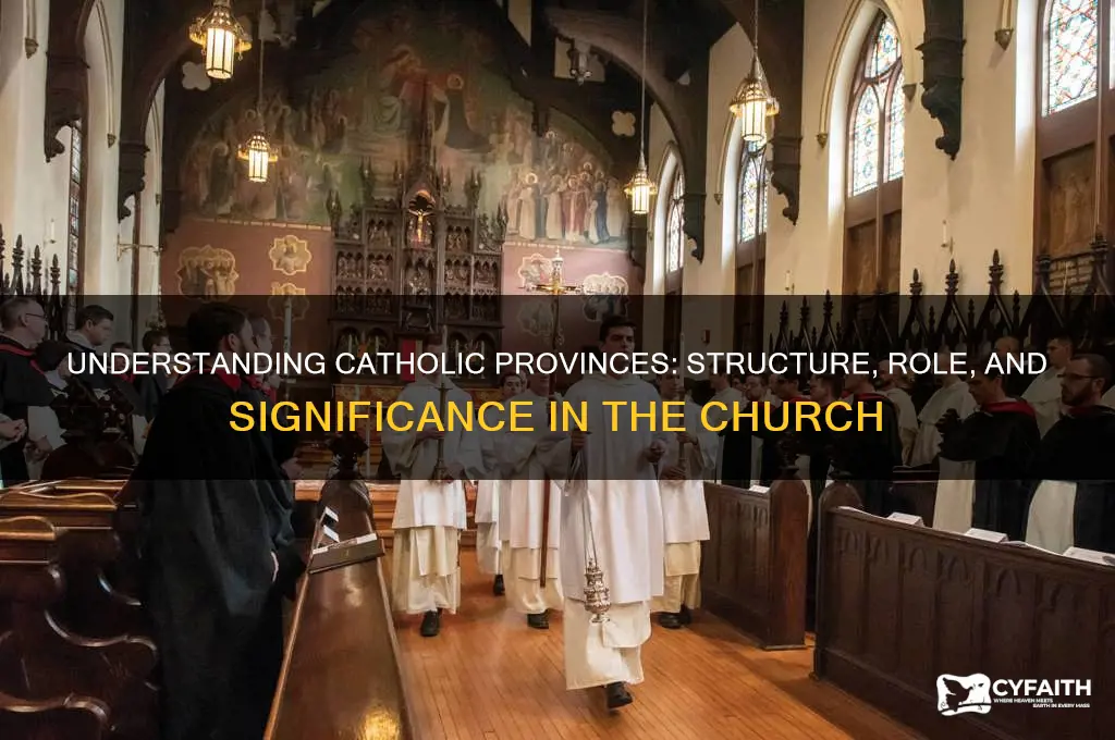 what is a catholic province