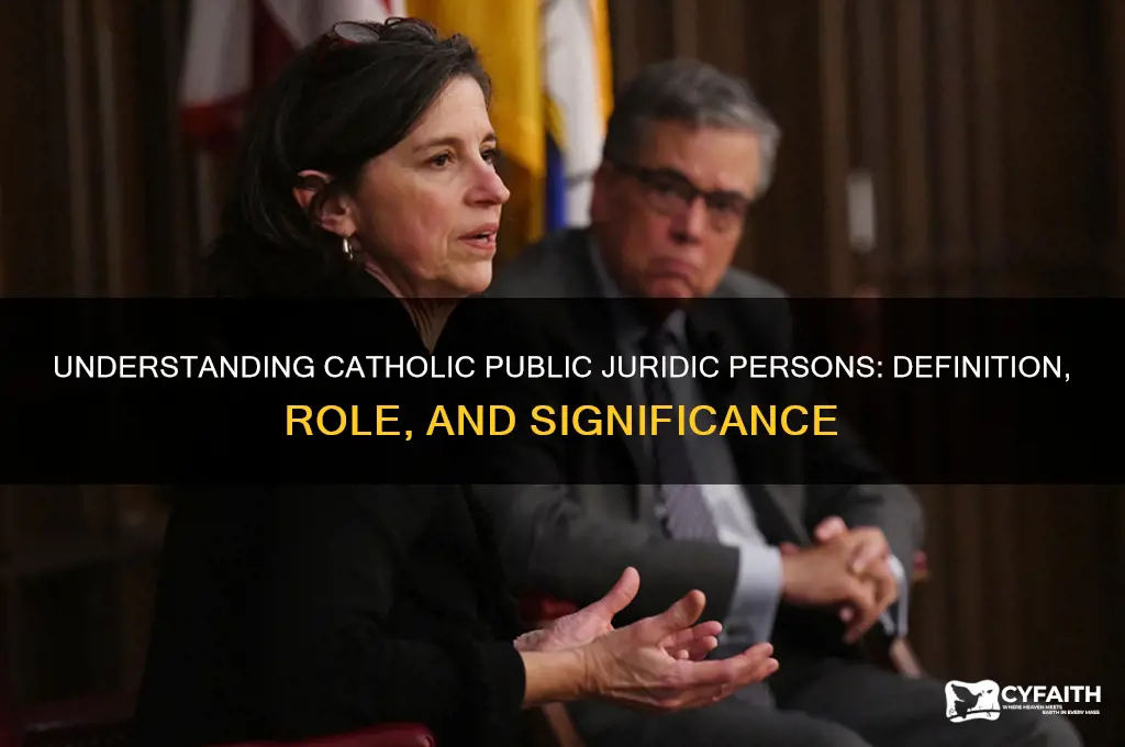 what is a catholic public juridic person