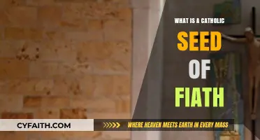 Understanding the Catholic Seed of Faith: Meaning, Growth, and Impact