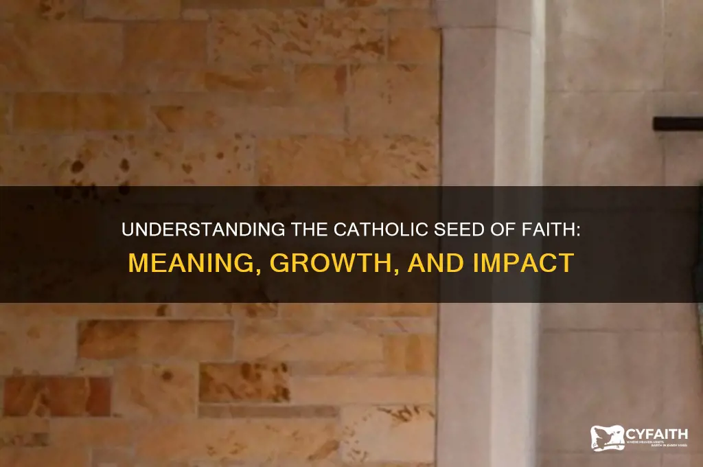 what is a catholic seed of fiath