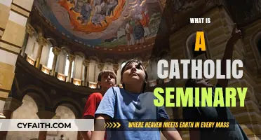 Understanding Catholic Seminaries: Formation, Faith, and Priestly Vocations Explained