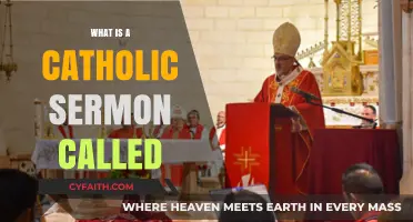 Understanding the Catholic Homily: What Is a Sermon Called?