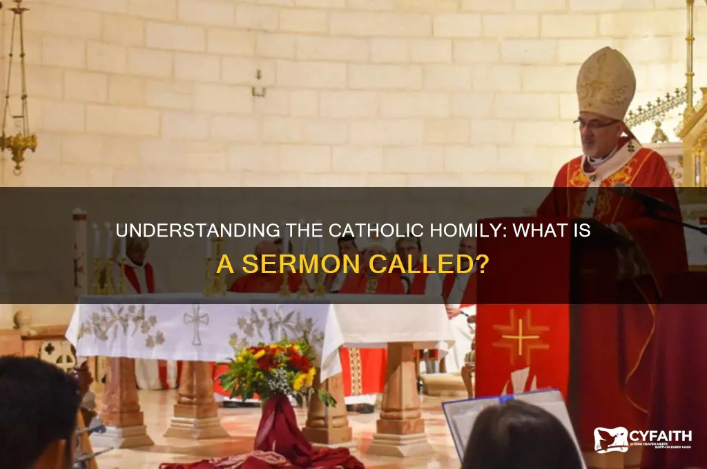 what is a catholic sermon called
