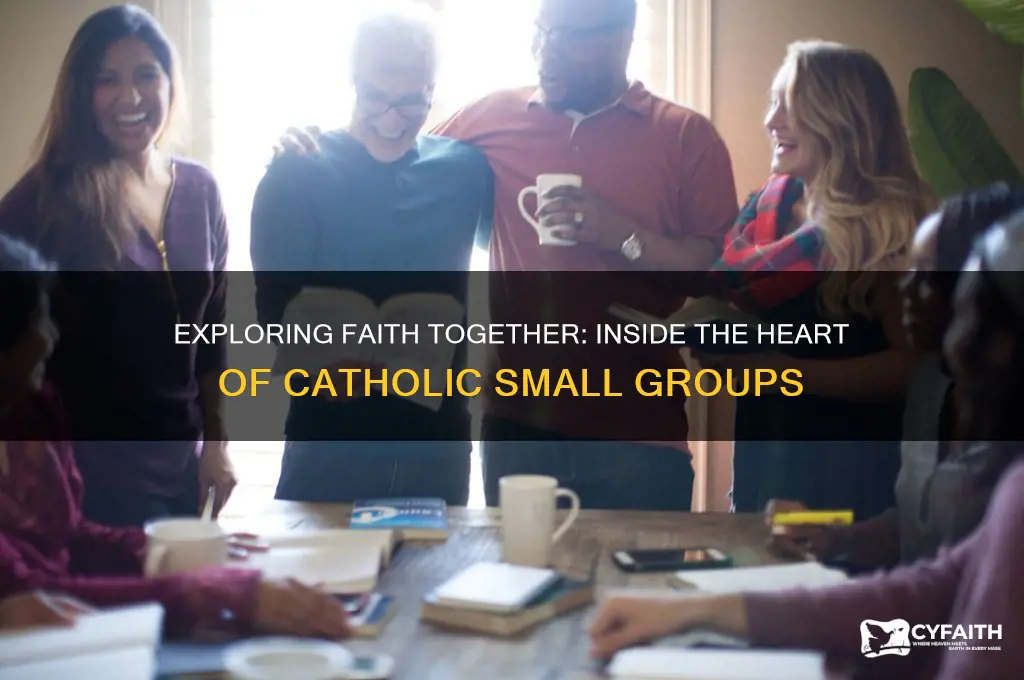 what is a catholic small group like