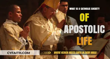 Understanding the Catholic Society of Apostolic Life: Purpose and Mission