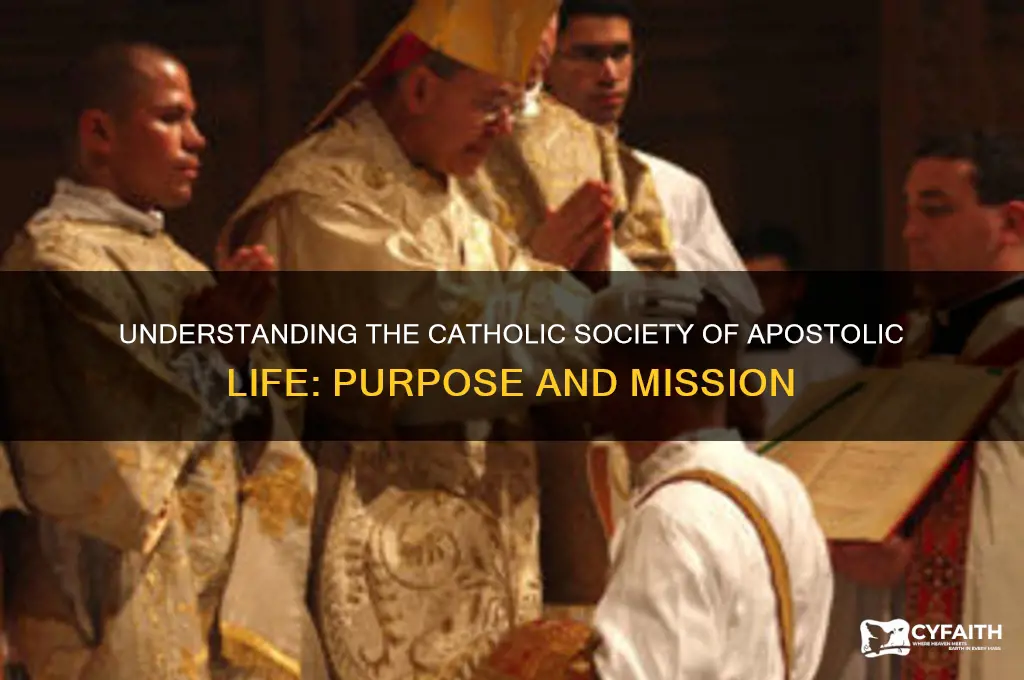what is a catholic society of apostolic life