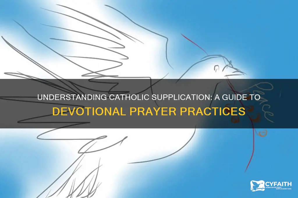 what is a catholic supplication