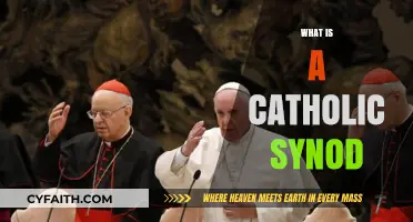 Understanding the Catholic Synod: Purpose, Process, and Significance Explained
