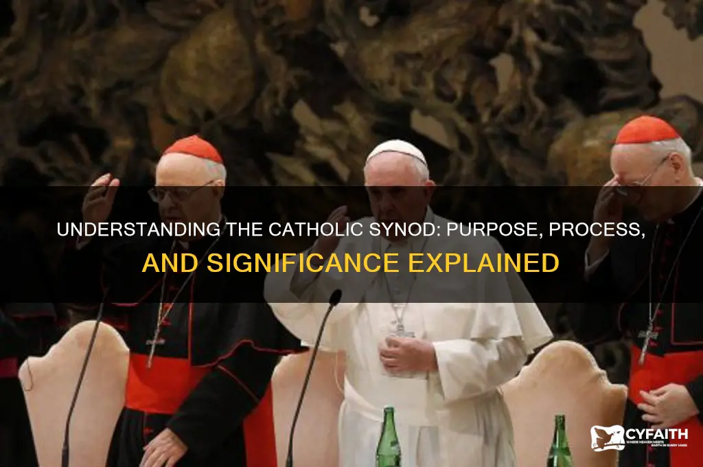 what is a catholic synod