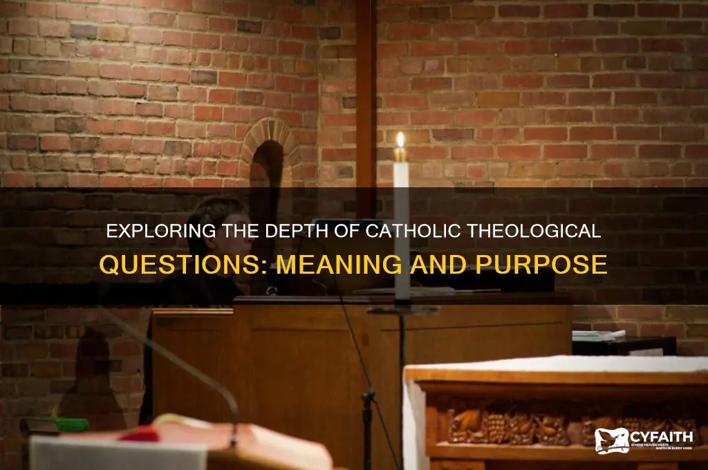 what is a catholic theological question