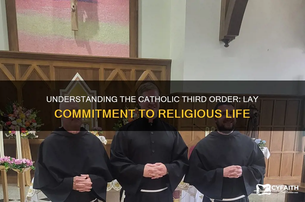 what is a catholic third order