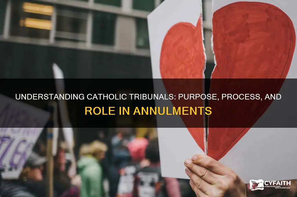 what is a catholic tribunal
