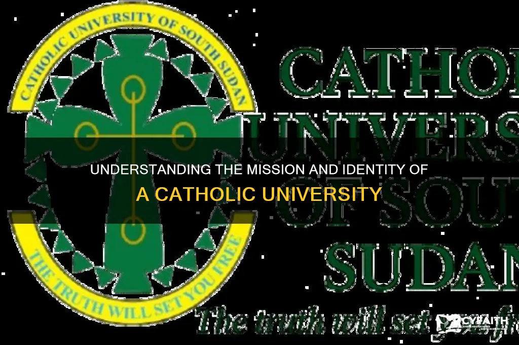 what is a catholic universit