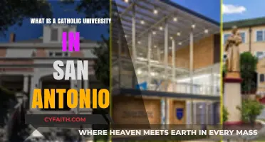 Exploring San Antonio's Catholic University: Faith, Education, and Community