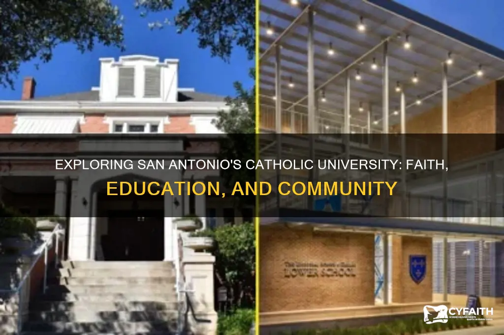 what is a catholic university in san antonio