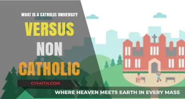 Catholic vs. Non-Catholic Universities: Key Differences and Educational Focus