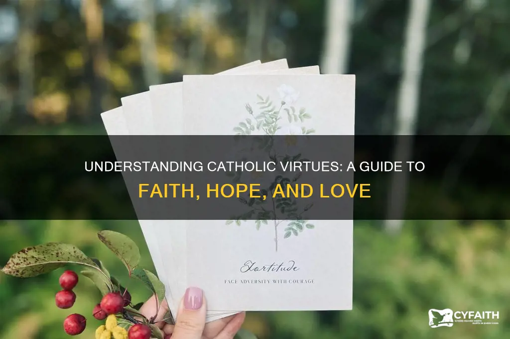 what is a catholic virtue