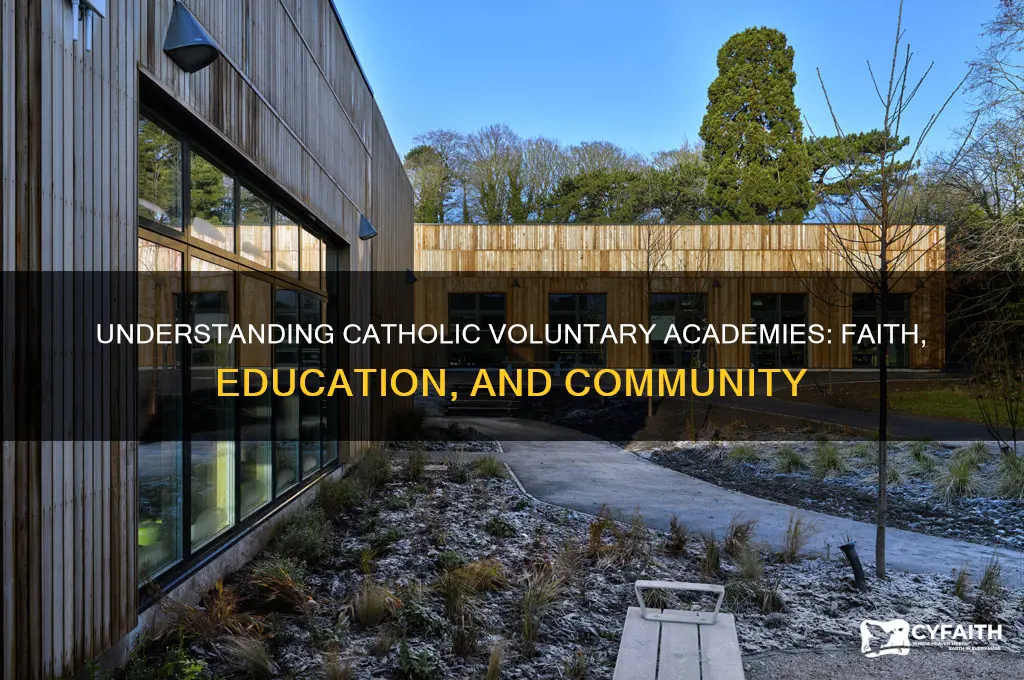 what is a catholic voluntary academy