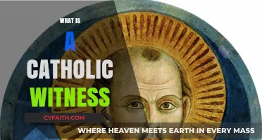 Understanding the Role and Impact of a Catholic Witness Today