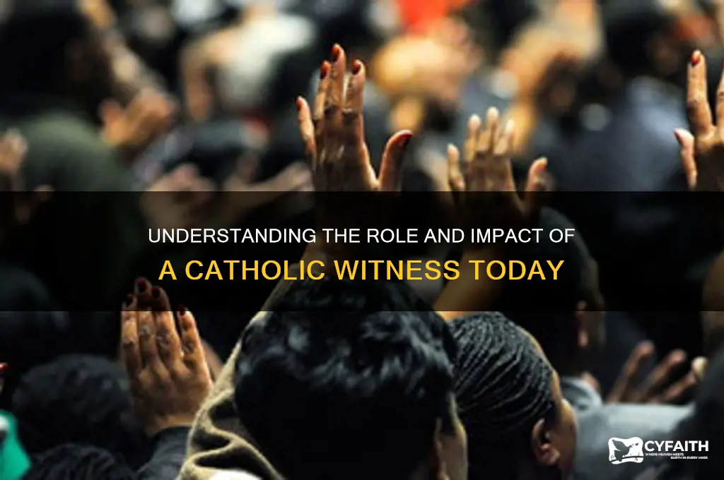 what is a catholic witness