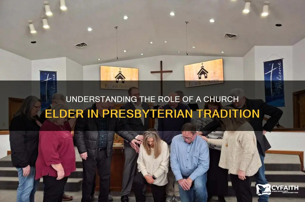 what is a church elder presbyterian